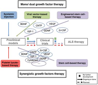 Past and Future of Neurotrophic Growth Factors Therapies in ALS: From Single Neurotrophic Growth Factor to Stem Cells and Human Platelet Lysates